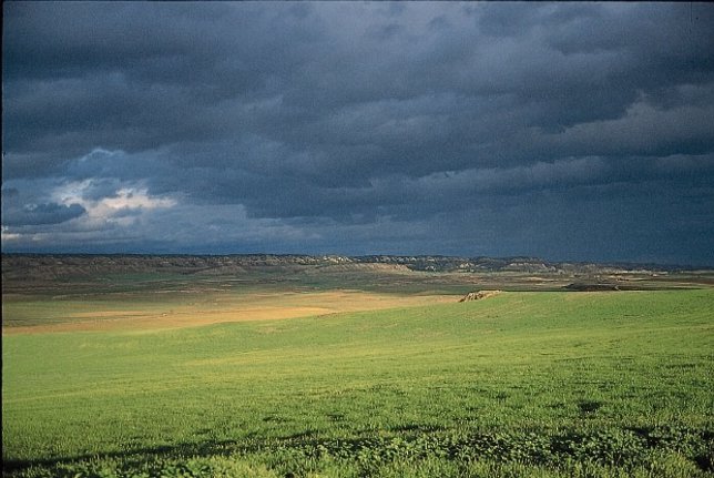 Imagen de un campo en Navarra