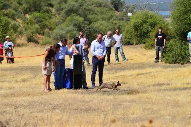 Fiscal libera lince ibérico en Córdoba