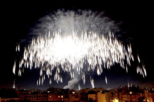 Palmera de la Mare de Déu de la Nit de l'Albà de Elche (Alicante)