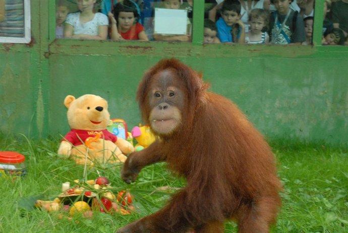 Cumpleaños de Victoria