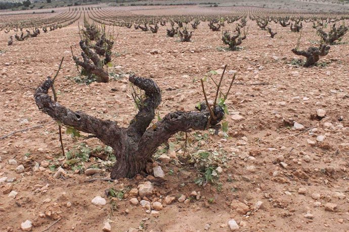 Daños pedrisco, granizo, lluvia, tormenta
