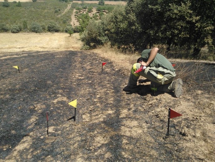 Investigación del fuego declarado en Latedo (Zamora)