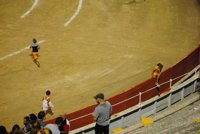 Denunciarán la entrada de menores a la corrida de toros del jueves en Palma