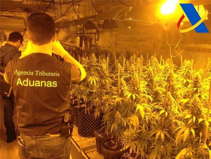 Operación de la Agencia Tributaria contra una banda de narcos
