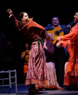 El espectáculo 'Fuego' 