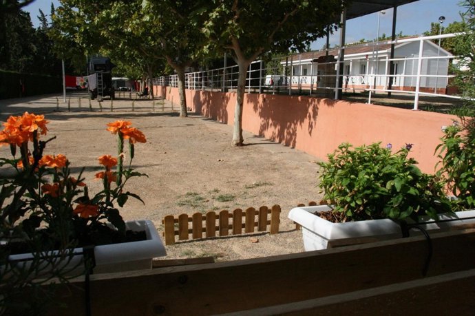 Camping Municipal 'Octogesa' de Mequinenza (Zaragoza)