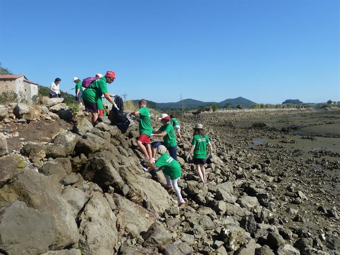 Limpieza de sedales en Santoña