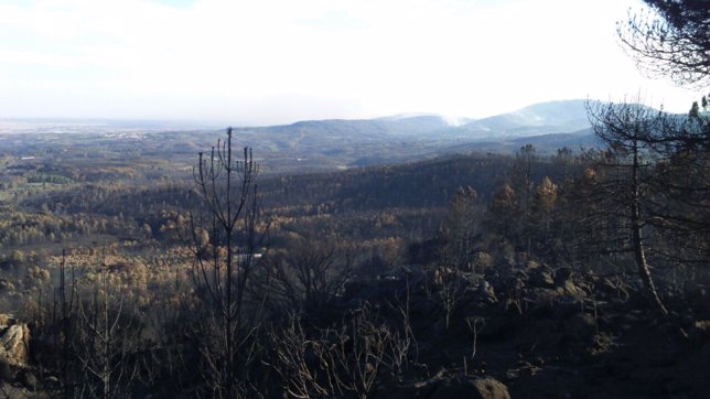 Incendio en Sierra de Gata