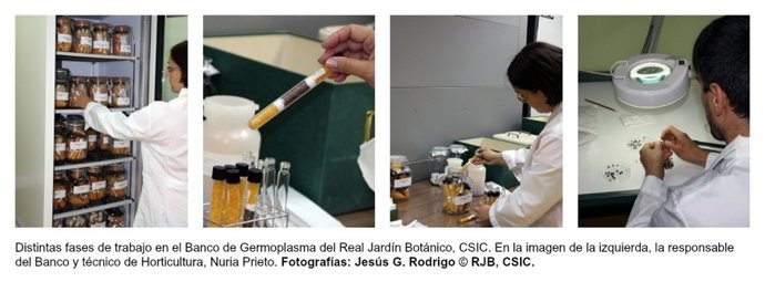 Banco germoplasma CSIC