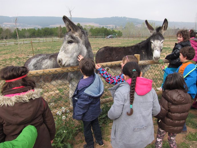 Los niños admiran a los burros de la nueva granja de La Grajera