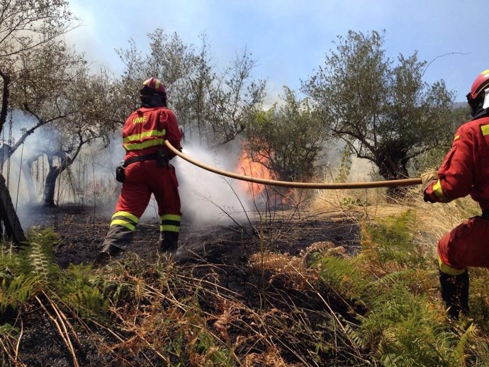 Efectivos de la Unidad Militar de Emergencia en el fuego de Sierra de Gata