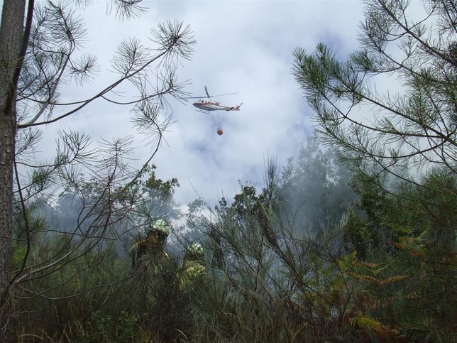 Incendio de Palmés, en Ourense