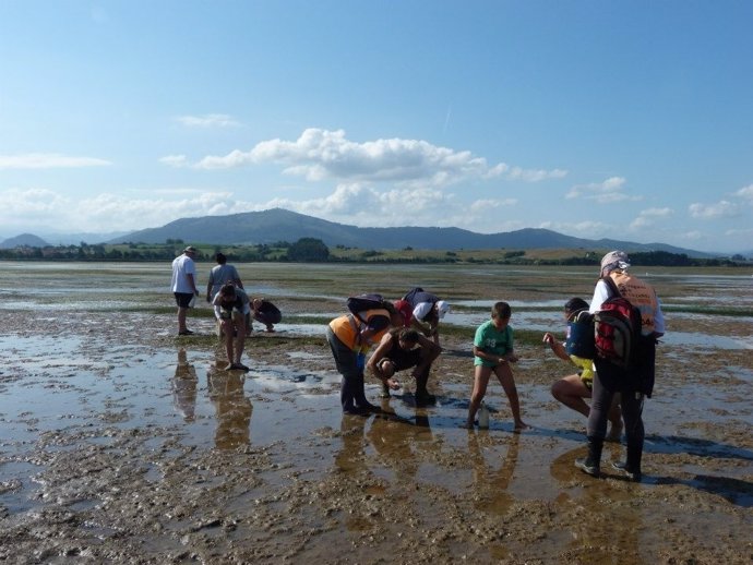 Marisqueo en Pedreña