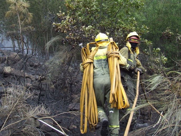 Incendio en Palmés (Ourense)