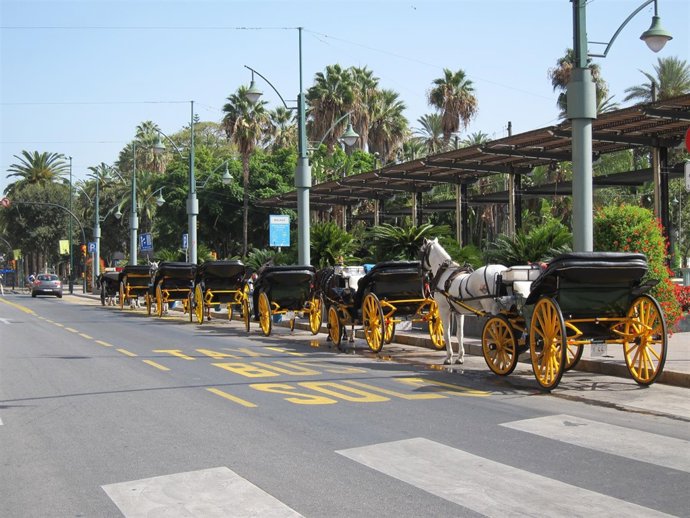 Calesas, caballos, turismo, turistas