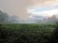 La Xunta niega que la Ley de Montes "abra la puerta" a la especulación en zonas quemadas