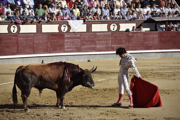 Corrida de toros en Las Ventas                  