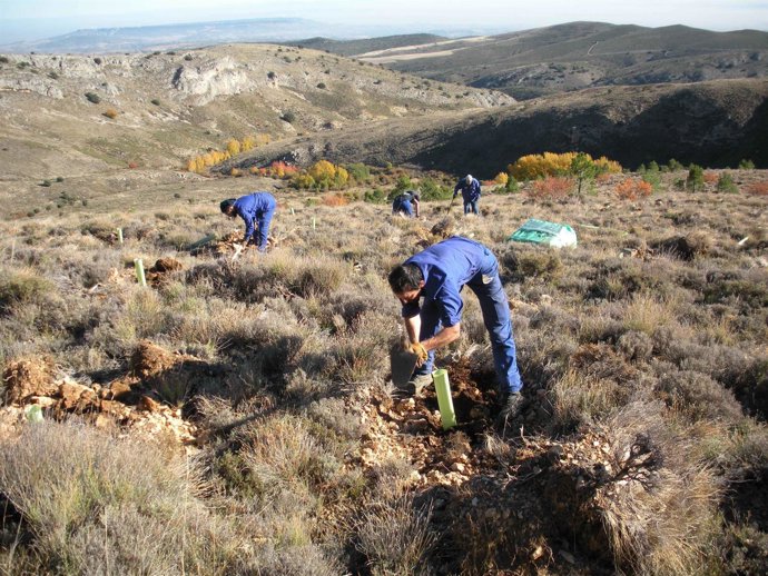 Personas trabajando en la conservación del medio ambiente