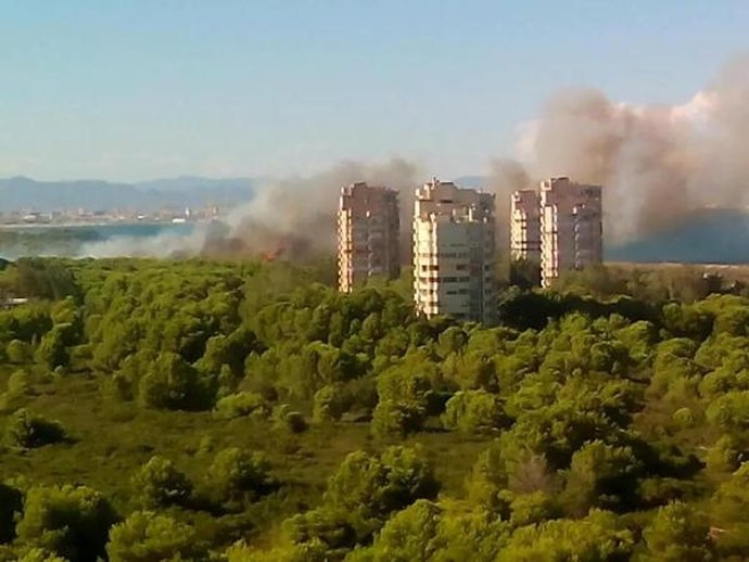 Incendio forestal en El Saler