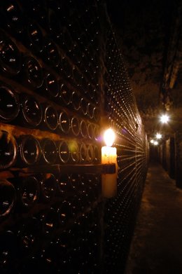 Imagen de la actividad