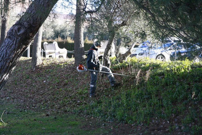 Hombre Trabajando, Jardinero, Cortacésped, Jardín