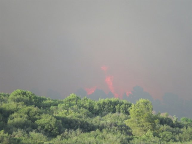 Incendio en las Cinco Villas.