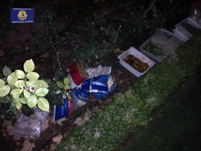 DETENCIONES POR ROBO EN SOCUELLAMOS