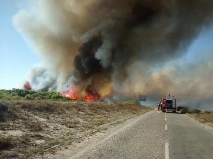 Un nuevo incendio en El Saler