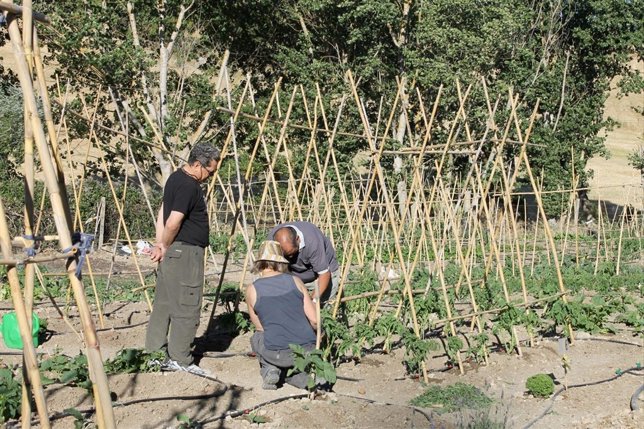 Huerto social ecológico cruz roja ronda familia desfavorecida