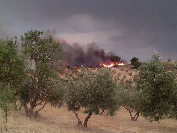 Foto del incendio de Quesada