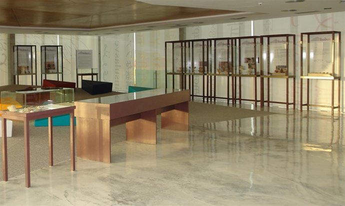 Exposición 'Lobos 1. Un taller romando de púrpura'