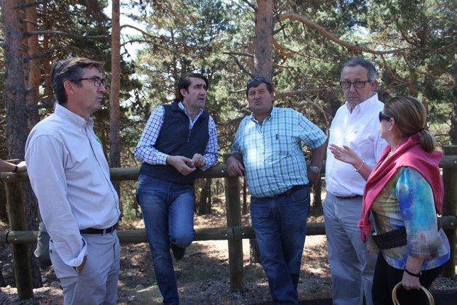 Suárez-Quiñones, en el pinar de Navafría. 