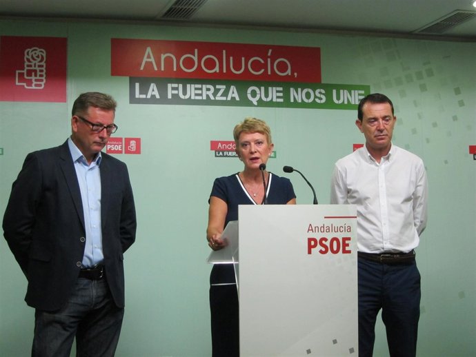 Martínez Olmo, Rumí y Pérez Navas (PSOE)