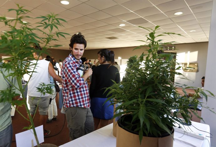 Feria Expo Cannabis en Montevideo