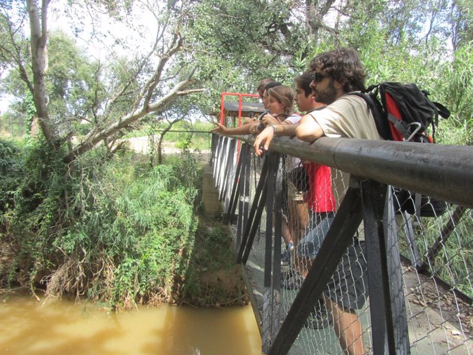 Jornada del proyecto de voluntariado 'Alagón Natural' en el río Jalón