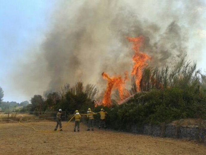 Incendio Santa Gertrudis