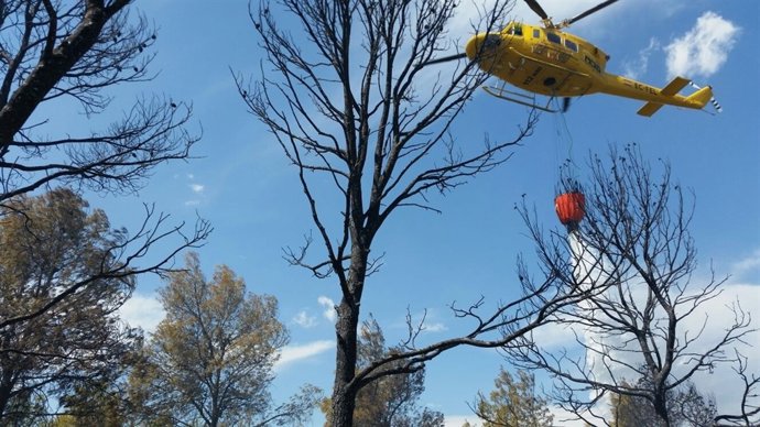 Imágenes del incendio forestal de Calasparra