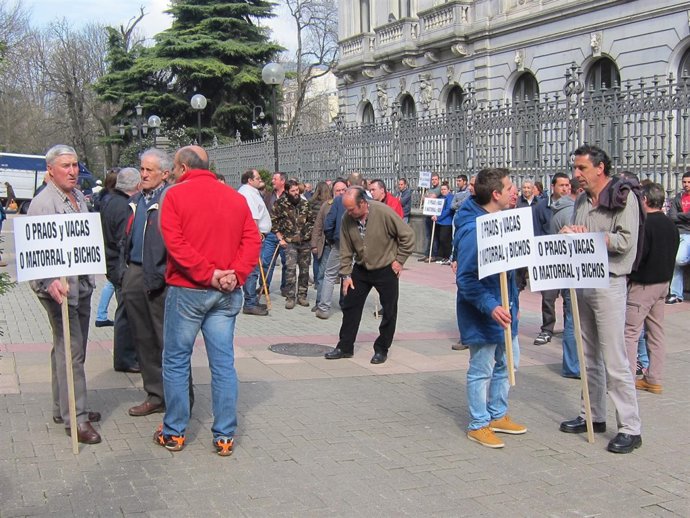 Ganaderos asturianos se concentran ante Presidencia como protesta