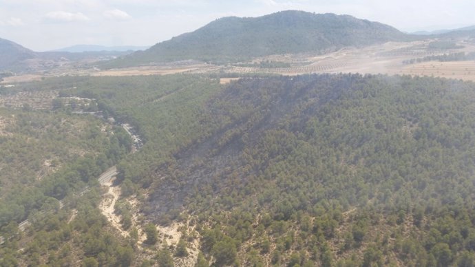 Incendio forestal en Calasparra