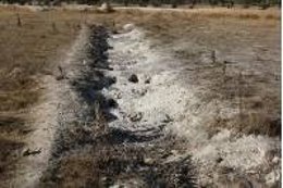 Suelos de la finca afectada.