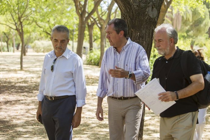 Espadas en el parque Amate.