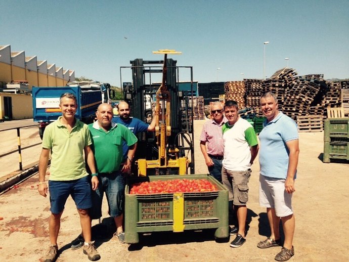 Carga de tomates para la Tomatina de Buñol