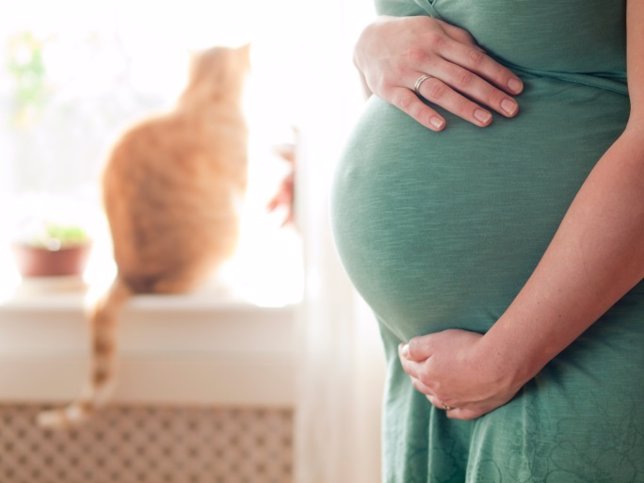 Toxoplasmosis, mujer, embarazada, gato.