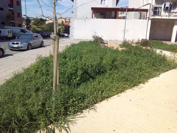 Una de las zonas verdes de Astillero