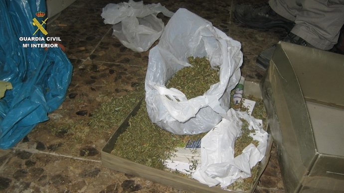 Detienen a 28 integrantes de 4 organizaciones que traficaban con droga