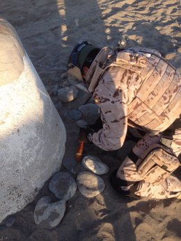 Retirada un antigua granada de fusil en una playa de Marbella