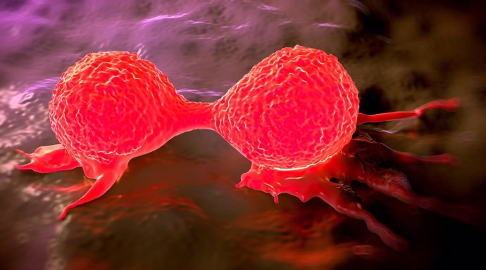 Descubren tejidos cancerígenos que retraen tumores de páncreas y mama 