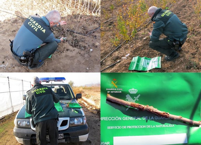 Agentes del Seprona recogiendo muestras de la finca para su análisis