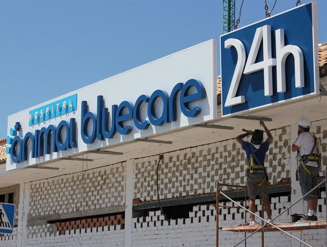 Animal bluecare hospital veterinario mijas costa funcionamiento