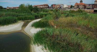 Medio Ambiente